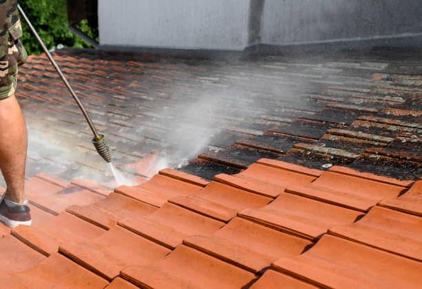 Best Deck Cleaning Services  in Riverdale Park, MD