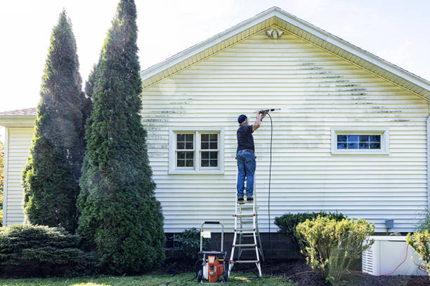 Professional Pressure Washing in Riverdale Park, MD