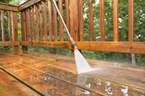 Best Best Pressure Washing Companies  in Riverdale Park, MD